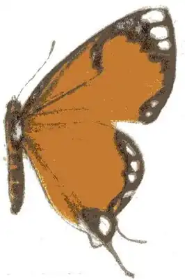 Pseudaletis agrippina