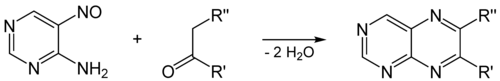 Pteridinesynthese
