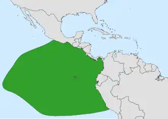 Galápagosstormvogel