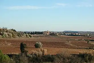 Gezicht op Puisserguier