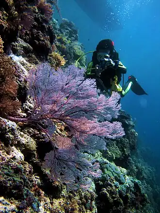 Nationaal park Taka Bone Rate