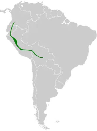 Gestreepte maskeruil