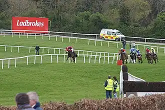 Racing at Punchestown in 2009