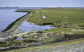 Westelijkste deel van de Punt van Reide. Rechts de dijk die diende voor de westelijke afsluiting van de vroegere sluis