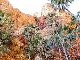 Nationaal park Purnululu