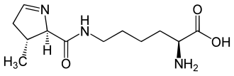 Pyrrolysine
