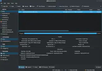 qBittorrent 4.3.9
