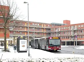 De Wibenaheerd in Beijum