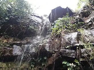 Waterval in de Pinga