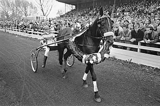 Quicksilver S maakt een ereronde, 1966