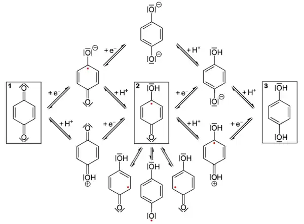 Reductie van chinon tot een fenol