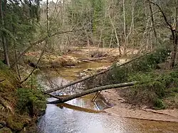 Het meanderende deel van de rivier