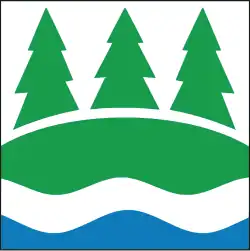 Vlag van de gemeente Rõuge