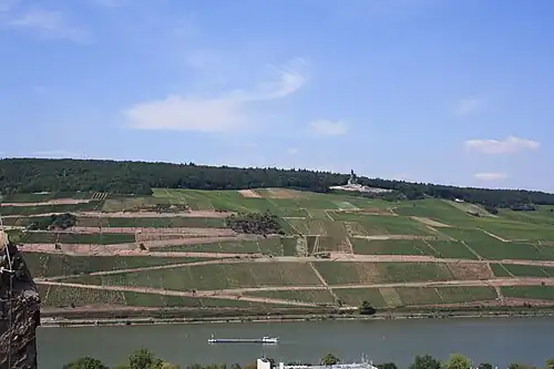 Westgrens van de Taunus: de Rijn bij Rudesheim met het Niederwalddenkmal