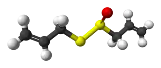 Molecuulmodel van R-allicine