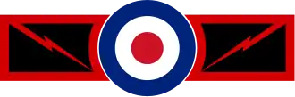 Squadron roundel