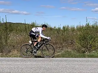 Svestad-Bårdseng in 2019