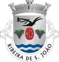 Vlag van Ribeira de São João