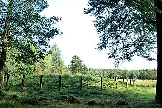 Grafheuvel de Galgenberg ligt in het gebied.
