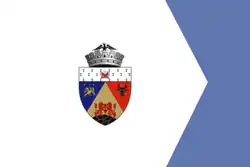 Vlag van Alba Iulia
