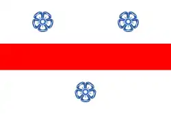 Vlag van Miercurea Ciuc