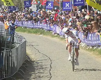 Ronde van Vlaanderen 2025