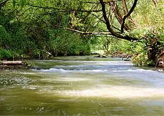 De Rábca bij Lutzmannsburg