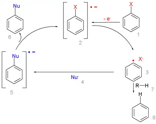 Reactiemechanisme van de radicalair-nucleofiele aromatische substitutie.