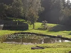 Vijvertje in het dorp (2014)