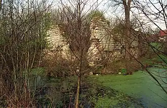 ruïne uit de 16e eeuw in Radłówka