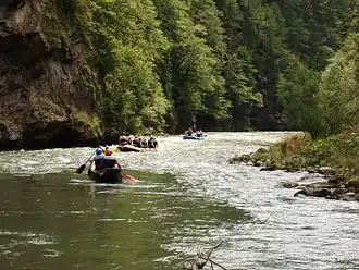 de Möll bij Napplach