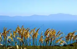 Stewarteiland gezien vanaf Bluff op het Zuidereiland