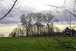 Kerkhof gezien vanaf de wierde