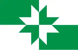 Vlag van de gemeente Rapla