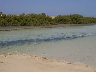Nationaal park Ras Mohammed