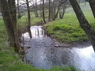 De Ruisseau d'Asse nabij het Bos van Mortroux.