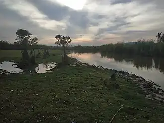 Nationaal park Rawa Aopa Watumohai