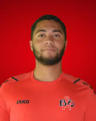 Rayvano van de Merwe