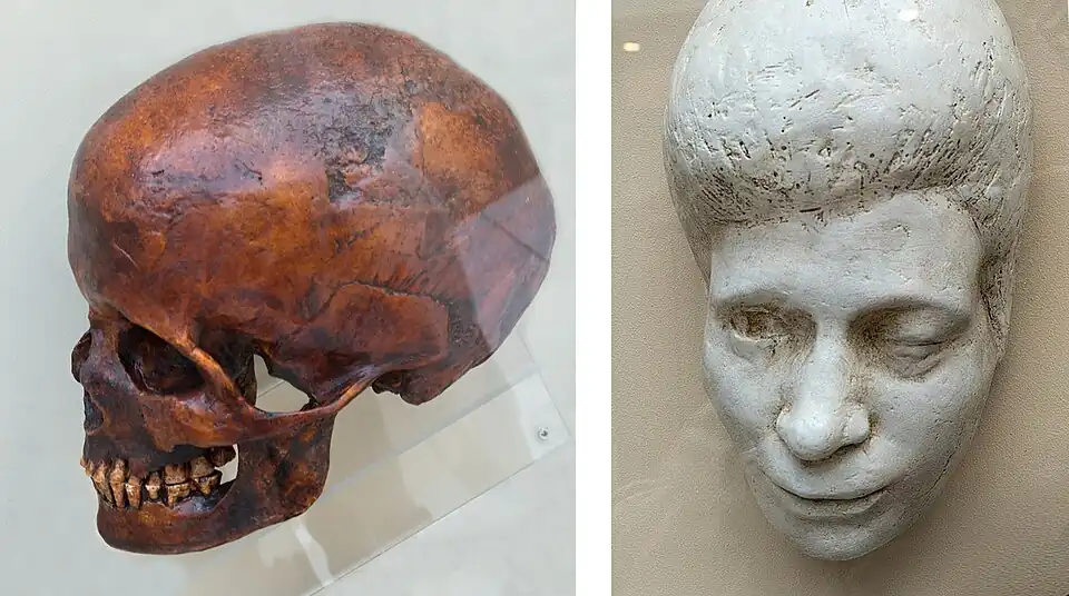 vrouwelijke schedel en gezichtsreconstructie