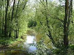Aan de brug naar Grieterbusch