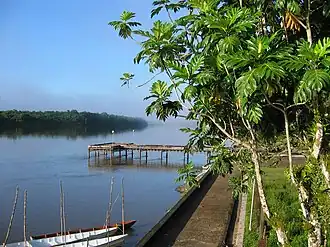 De Approuague nabij Régina