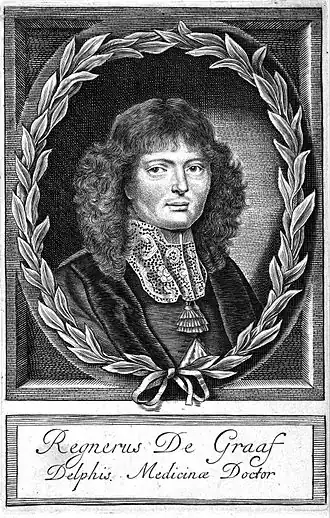 Portret van Reinier de Graaf (1641-1673)