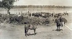 Tijdens de 'round-up'