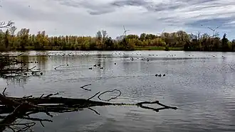 De grindkuil op Oude Weerd