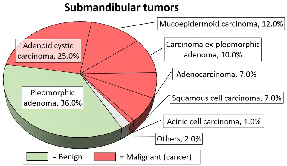 Relatief voorkomen van submandibulaire tumoren, waarbij het adenoïdcystisch carcinoom de tweede meest voorkomende is.[13]