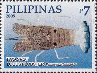 Remiarctus bertholdii