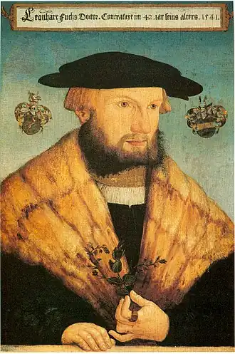 Fuchs in 1541, geschilderd door Heinrich Füllmaurer
