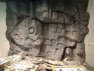 Levensgrote replica van de belangrijkste rotswand met ontginningssporen in het provinciale museum The Rooms in St. John's