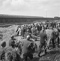 Vrouwelijke gevangenen op weg naar hun loods; de mannen hebben stro gehaald...