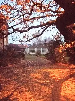 Restant van de wintertuin van Johannes Hartmann, zicht vanuit de Johannes Hartmannlaan.